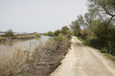 Abandono no Vale do Tejo obriga agricultores a manter o território com remendos