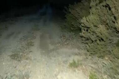 Tânia Laranjo no local onde ex-polícia diz ter enterrado companheira e ex-mulher após asfixiá-las