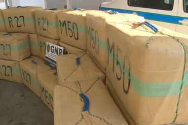 PJ apanha grupo criminoso com 350 kg de haxixe em Olhão
