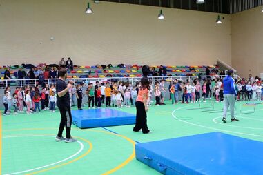 Disciplina não é ensinada de forma generalizada no 1.º ciclo