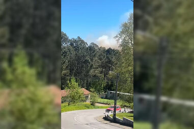 Incêndio florestal deflagra em Aveiro