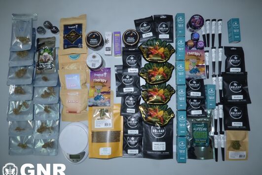 A GNR apreende produtos de cannabis e óleo CBD
