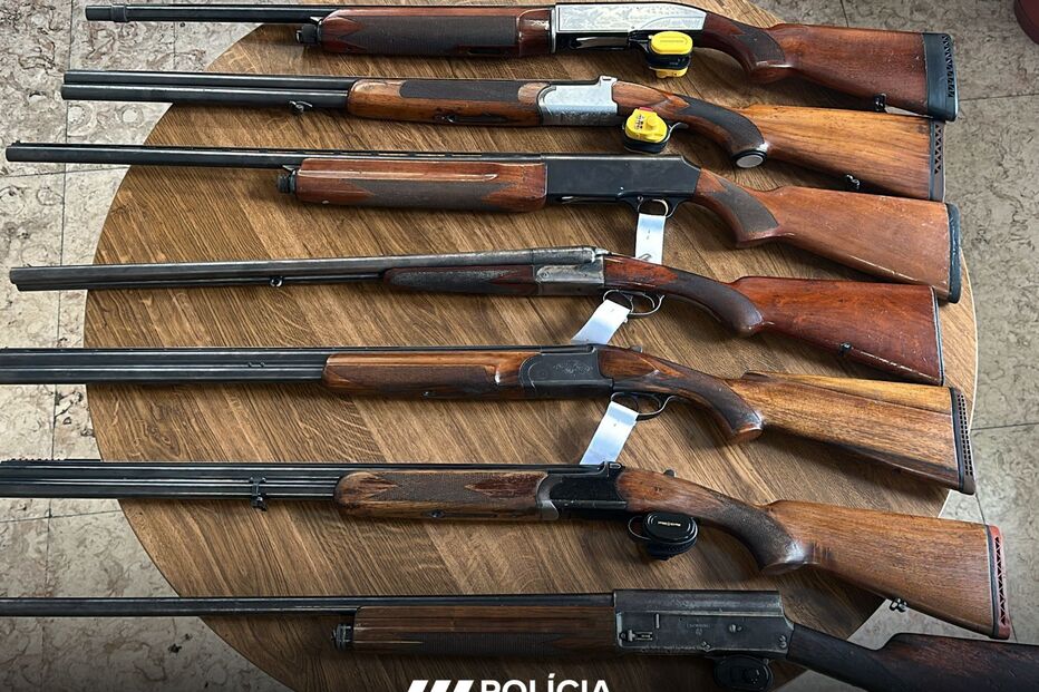 Polícia apresenta armas de fogo apreendidas numa mesa