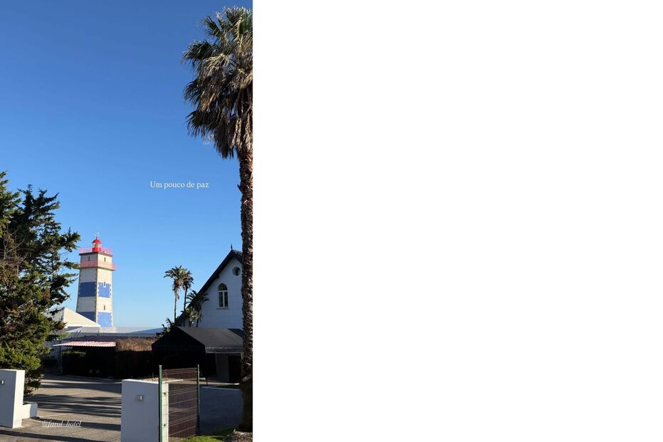 Teresa Sacramento, story