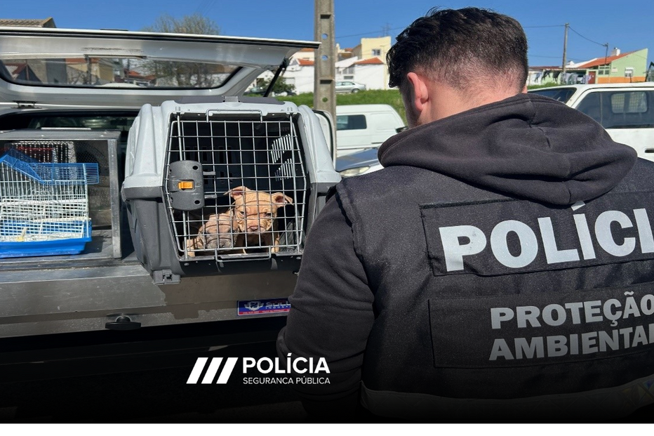 A Polícia de Proteção Ambiental resgata animais em situação de vulnerabilidade