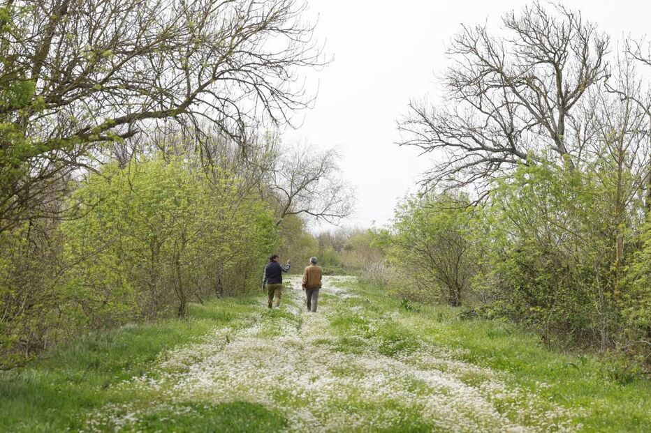 Abandono no Vale do Tejo obriga agricultores a manter o território com remendos