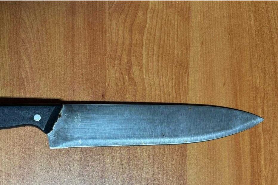 Aluno de 12 anos leva faca para escola em Lisboa devido a bullying