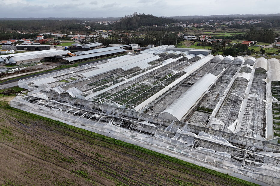 Mau tempo causa prejuízos de 600 milhões; estufas destruídas na zona do Mondego