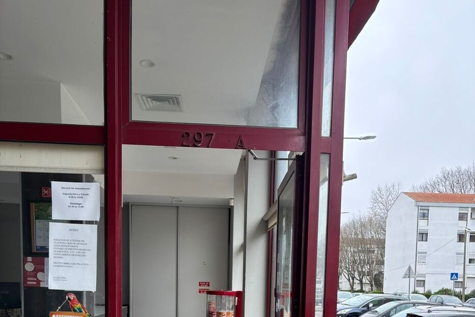 Café no Pinheiro Manso assaltado, gaveta da caixa registadora furtada