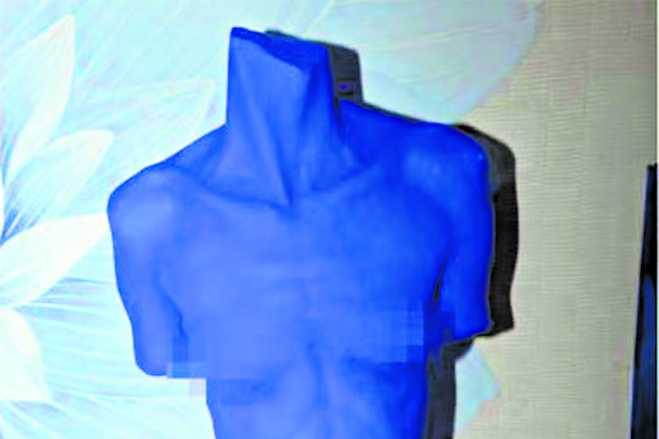 O busto encontrado na casa de Jeffrey Epstein 