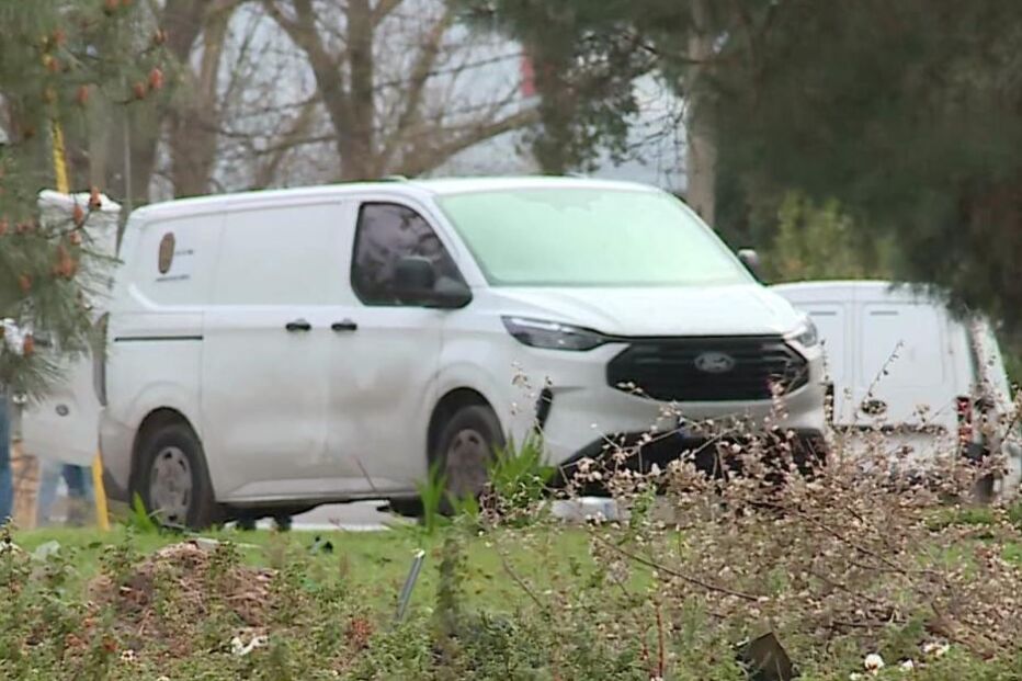 Carros estacionados perto de vegetação