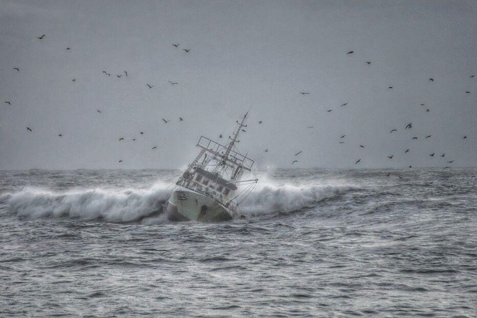 'Olívia Ribau' afundou ao chegar à Figueira