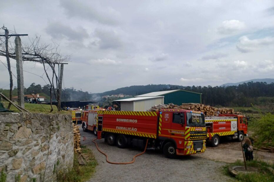 Três veículos ardem em incêndio num armazém de lenha