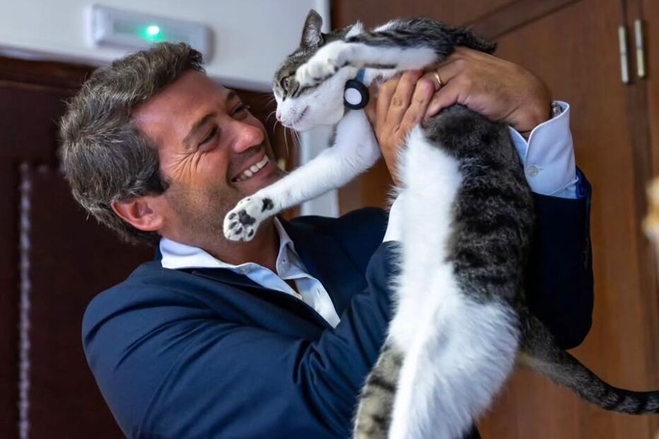 Gato do Chega é sensação nas redes sociais