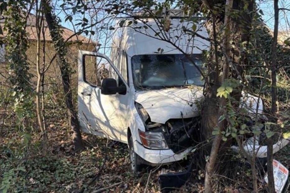 Carrinha branca danificada após embater numa árvore