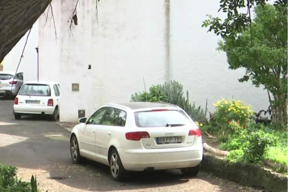 Rua arborizada com carros estacionados junto a muro branco