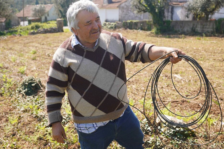 Agricultores de Porto de Mós sofrem com a falta de comunicações e campos por amanhar devido aos cabos caídos