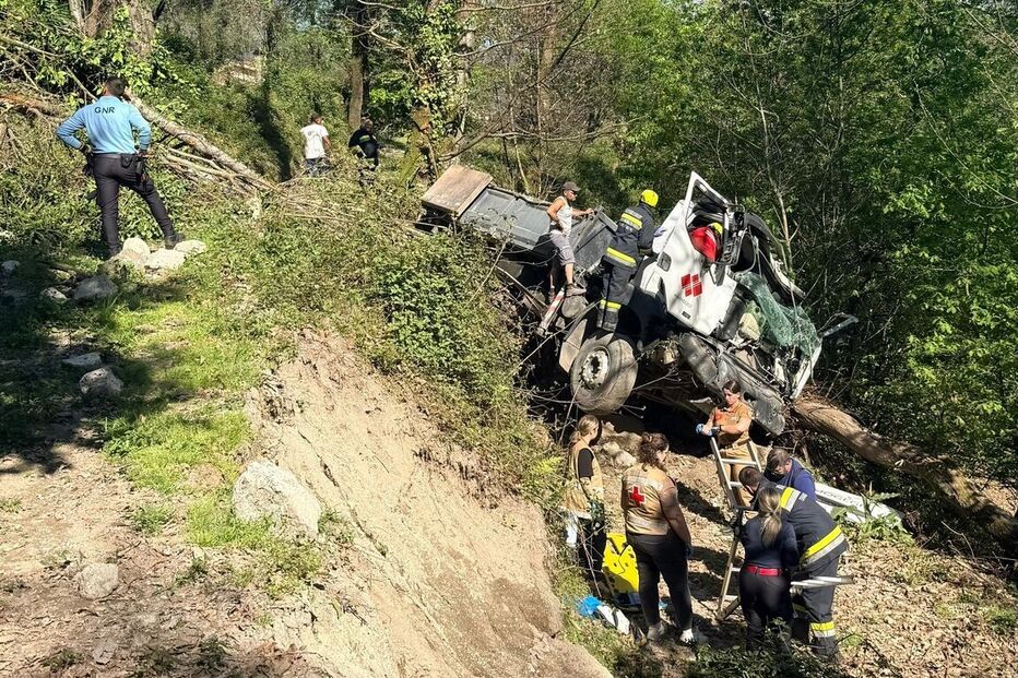 Camião cai em ribanceira após despiste
