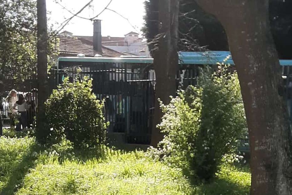 Preço do gás natural sobe mais de 4% e ultrapassa os 54 euros