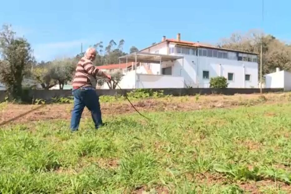 Porto de Mós ainda sofre com efeitos das tempestades. Cabos caídos nas terras estorvam agricultores