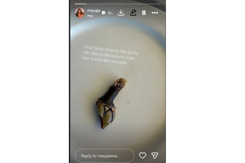 Mayaja viu pela primeira vez uma criatura parecida com uma garra de dinossauro com sabor a mexilhão