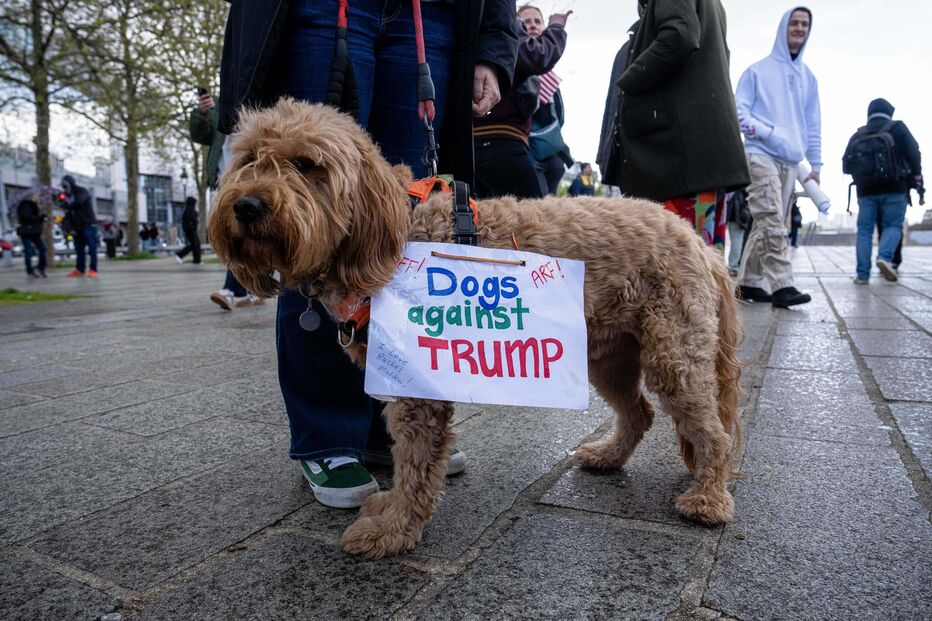 Protestos contra administração Trump alastram-se até França