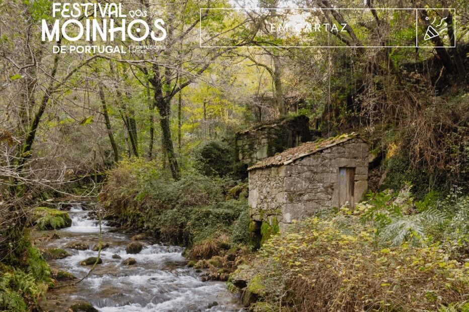 Festival dos Moinhos em Sever do Vouga promove tradições e património local