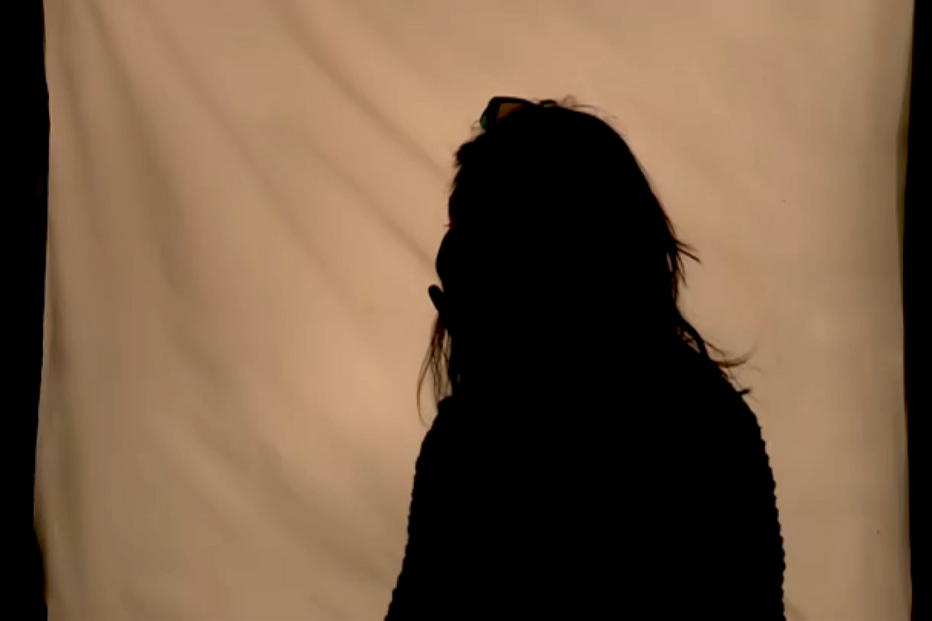 'Estaria a falar com uma pessoa que se intitulava de princesa Leonor': Filha de burlado expõe esquema