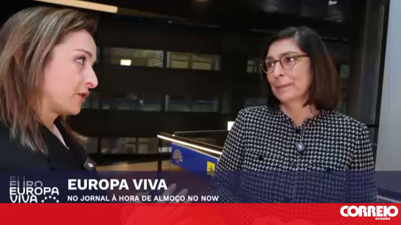 Meet the woman who has been a PS MP, parliamentary group leader, and is now a Member of the European Parliament