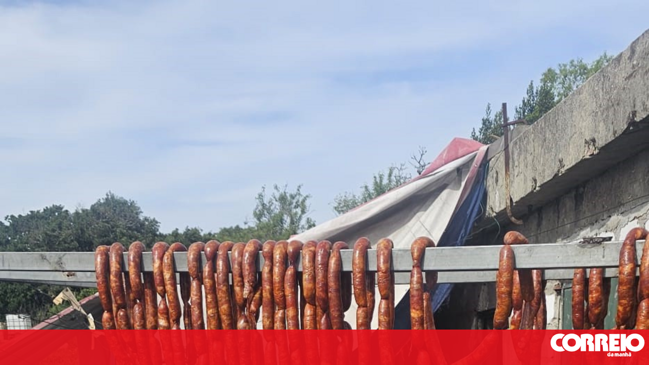 PSP seizes chorizo, pork scratchings, and pig's ear at Cacém station in Sintra