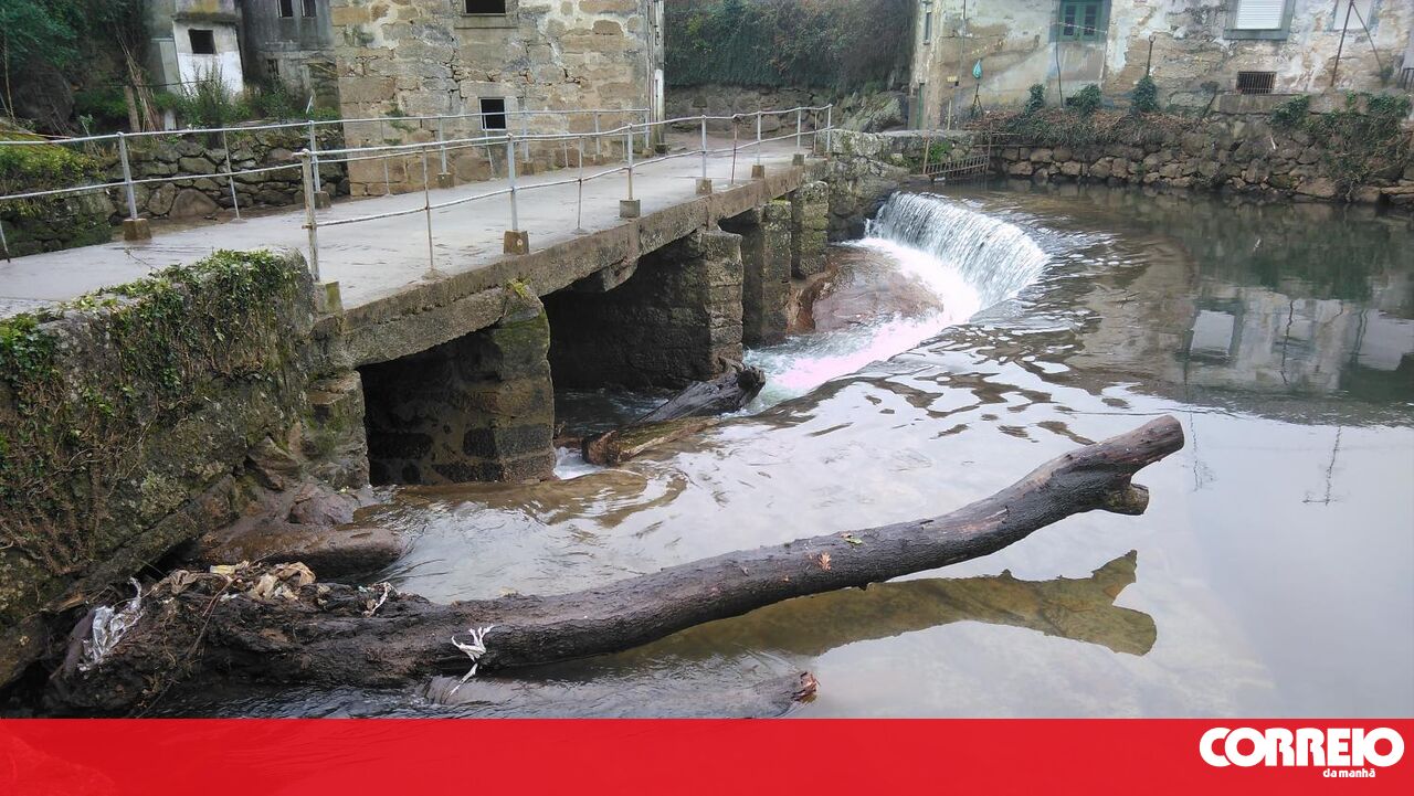 81 million euro plan to restore the Leça River in public consultation