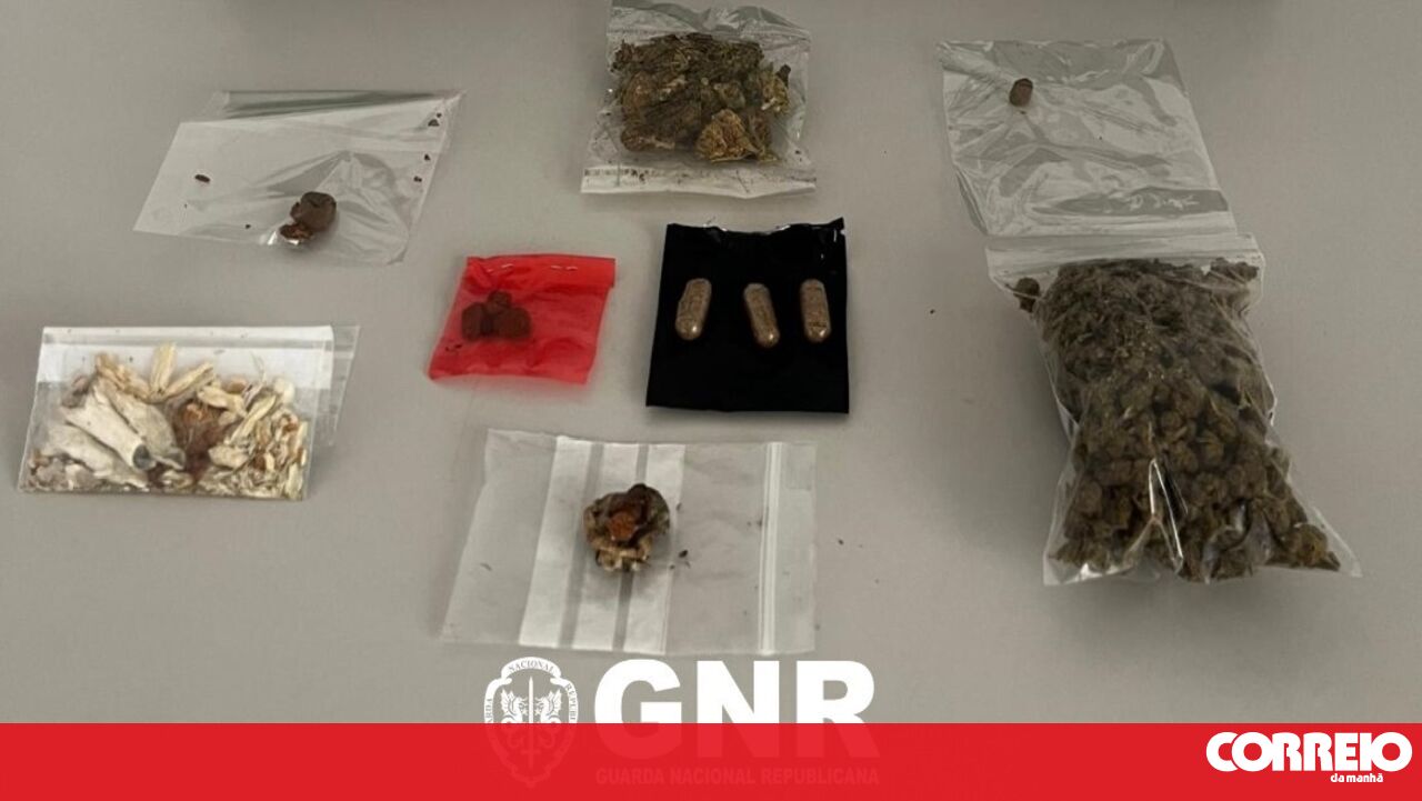 Portuguese and Belgian nationals arrested for selling hallucinogenic mushrooms