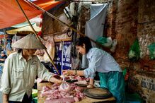 Comerciantes já têm autorização para a venda de carne de porco no Vietname