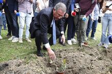 Marcelo planta medronheiro em Proença-a-Nova