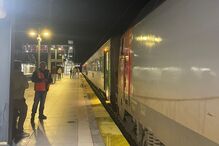 Passageiros de comboio em Montemor-o-Novo desesperam durante quase 4 horas. Pássaro provocou problemas na ligação elétrica