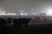 Drone MQ-9 Reaper dos EUA na Base Aérea das Lajes, Açores