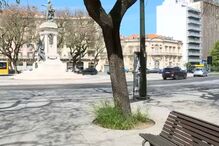 Condutor atropela mulher durante fuga a 'operação stop' da PSP em Lisboa