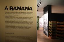Centro Interpretativo da Banana na Madeira
