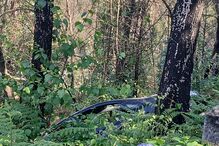 Acidente envolveu quatro veículos