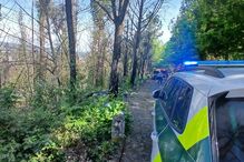 GNR tomou conta da ocorrência