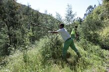 Trabalho em caminhos florestais em Pedrógão Grande e Figueiró dos Vinhos