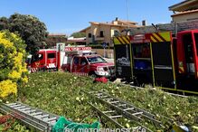 Bombeiros resgatam cão de poço com 25 metros de profundidade em Leça da Palmeira