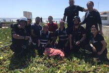 Bombeiros resgatam cão de poço com 25 metros de profundidade em Leça da Palmeira