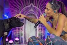 'Esse foi o último dia dele sendo cachorro de rua'. Cão invade palco e acaba adotado por cantora no Brasil