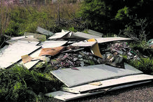 Patroa assassina pede perícia para provar crime doentio