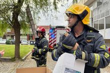 Bombeiros resgatam gato de árvore em Gondomar
