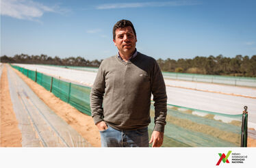 10ª Edição Prémio Intermarché Produção Nacional: impulsionar projetos agrícolas com ambição de crescimento