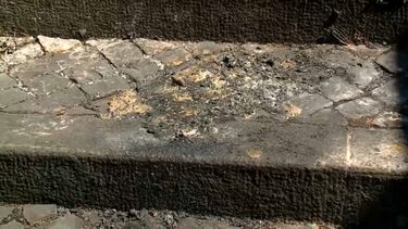 PJ investiga corpo encontrado a arder em Almada