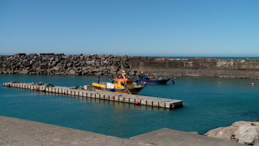 "Pescadores quase que pagam para trabalhar": Setor queixa-se dos preços dos combustíveis e pede mais ajudas ao Governo