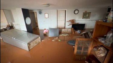 Chuva intensa deixa habitações completamente inundadas em Atenas 